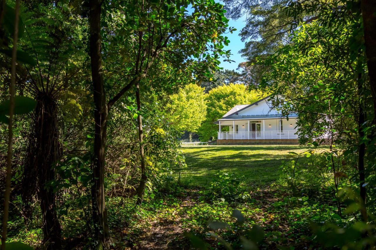 The Forest House Pirinoa Екстериор снимка